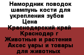 Намордник,поводок,шампунь,кости для укрепления зубов. › Цена ­ 4 000 - Краснодарский край, Краснодар г. Животные и растения » Аксесcуары и товары для животных   